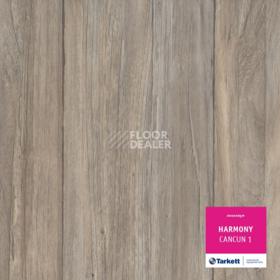 Линолеум Tarkett Harmony CANCUN 1 фото 1 | FLOORDEALER